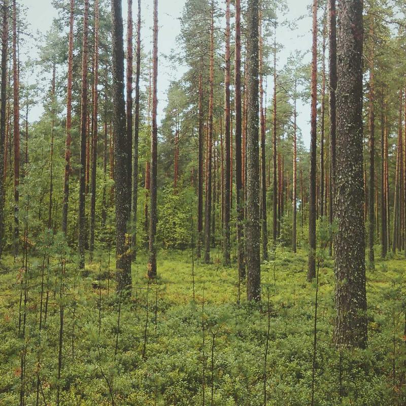 KIT-START
